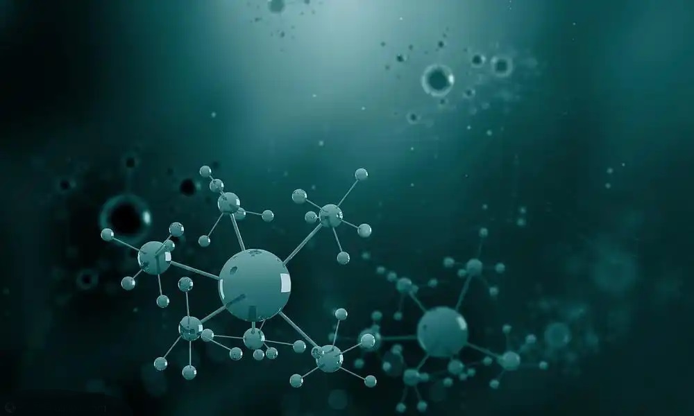 质量是生命 服务是根本